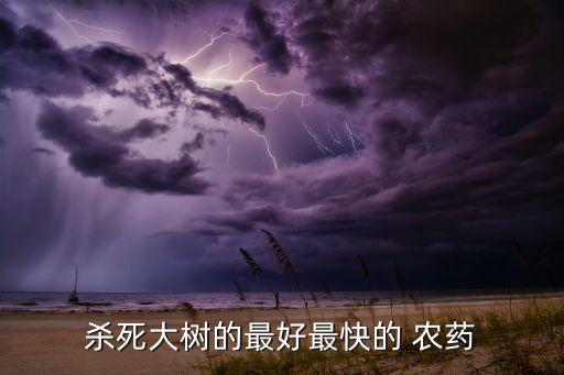 什么農藥能把樹要死,雜樹用什么農藥根除