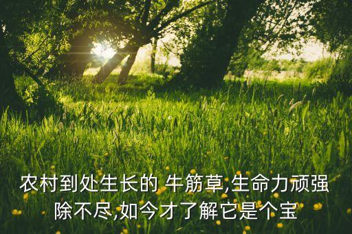 ,牛筋草用什么農藥可以打死