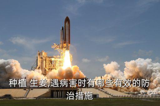 種植 生姜,遇病害時有哪些有效的防治措施