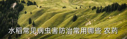 農藥標簽黑色代表什么,什么農藥是黑色的