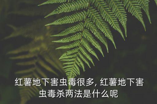 紅薯地下害蟲毒很多, 紅薯地下害蟲毒殺兩法是什么呢