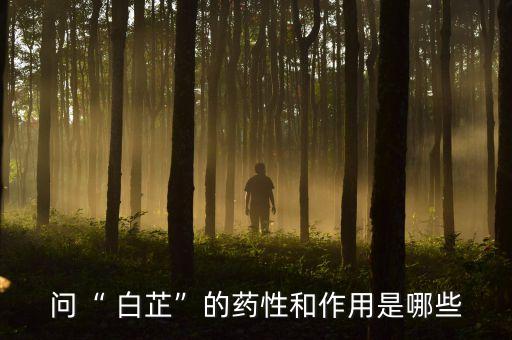 問“ 白芷”的藥性和作用是哪些
