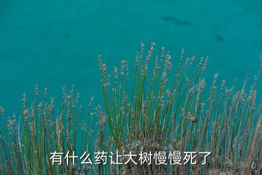 有什么藥讓大樹慢慢死了