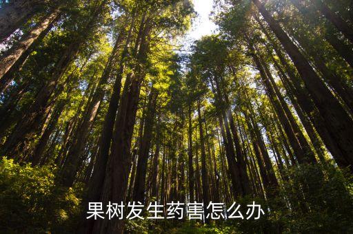 果樹發(fā)生藥害怎么辦