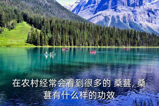 桑葚會噴農藥嗎,種植桑葚噴什么農藥