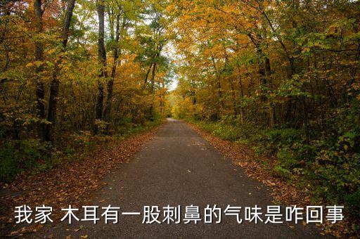 我家 木耳有一股刺鼻的氣味是咋回事
