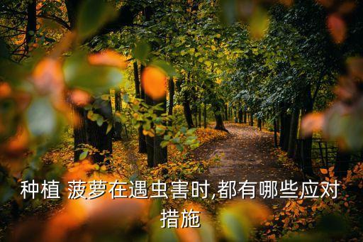 種植 菠蘿在遇蟲害時,都有哪些應對措施