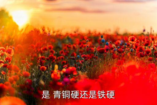 是 青銅硬還是鐵硬