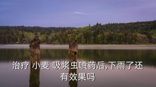 小麥吸漿蟲幼蟲用什么農(nóng)藥