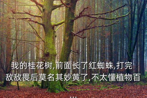 我的桂花樹,前面長了紅蜘蛛,打完 敵敵畏后莫名其妙黃了,不太懂植物百...