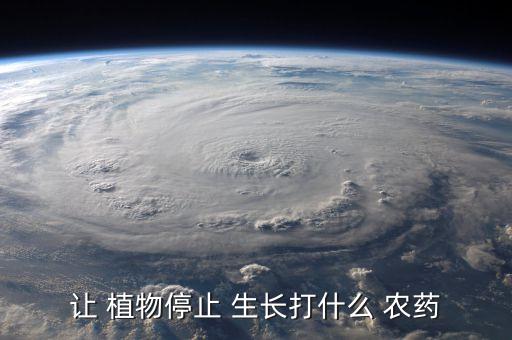 ,什么農(nóng)藥能讓植物不再生長