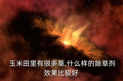 玉米一般打什么農藥,玉米稈用什么農藥最好用