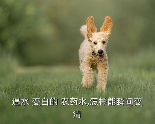 ,農藥為什么會變白
