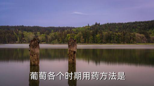 種葡萄需要什么條件,葡萄需要用什么農藥