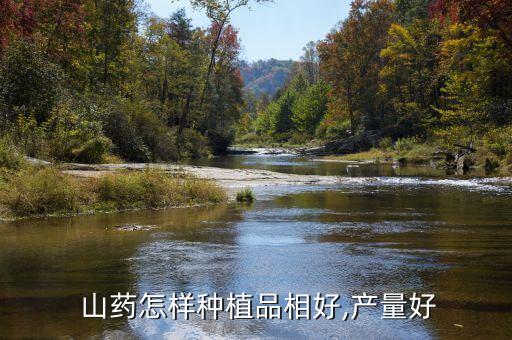 ,山藥這時節(jié)打什么農藥