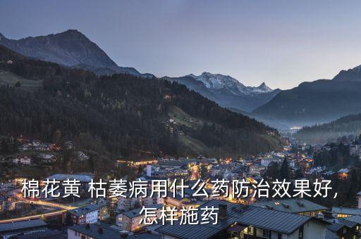 棉花黃 枯萎病用什么藥防治效果好,怎樣施藥