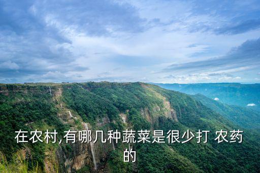 在農村,有哪幾種蔬菜是很少打 農藥的