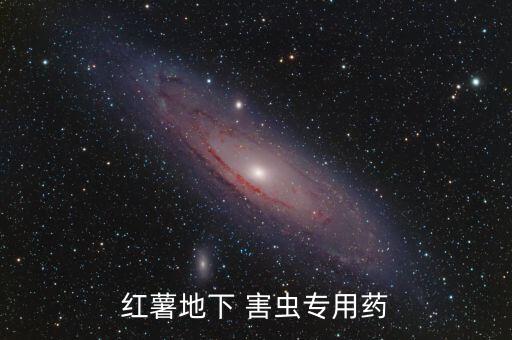 紅薯地下 害蟲專用藥