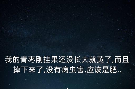 我的青棗剛掛果還沒長大就黃了,而且掉下來了,沒有病蟲害,應(yīng)該是肥...