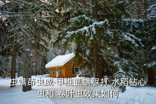 ,水稻卷葉蟲(chóng)要打什么農(nóng)藥