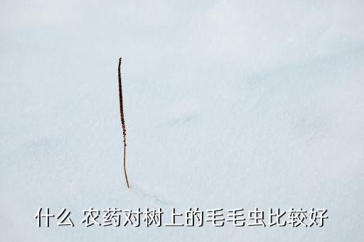 ,用什么農藥驅蟲最好用最快