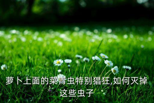 蘿卜上面的菜青蟲特別猖狂,如何滅掉這些蟲子