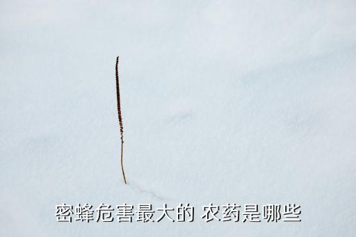 密蜂危害最大的 農(nóng)藥是哪些