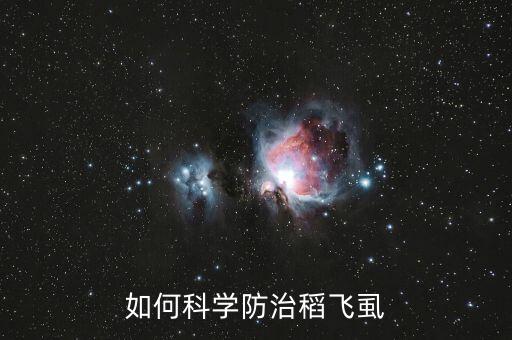 如何科學防治稻飛虱