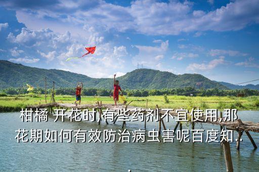 柑橘 開花時,有些藥劑不宜使用,那花期如何有效防治病蟲害呢百度知...