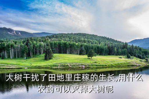 大樹干擾了田地里莊稼的生長,用什么 農藥可以滅掉大樹呢