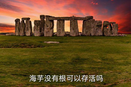  海芋沒有根可以存活嗎