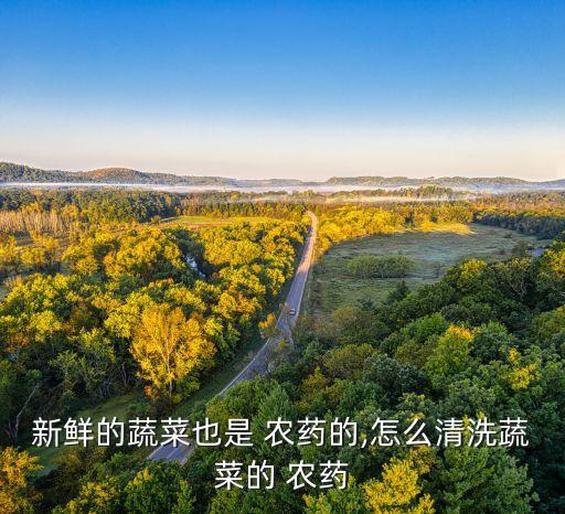 新鮮的蔬菜也是 農藥的,怎么清洗蔬菜的 農藥