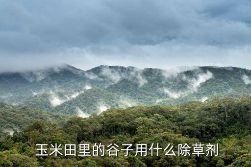 玉米田里的谷子用什么除草劑