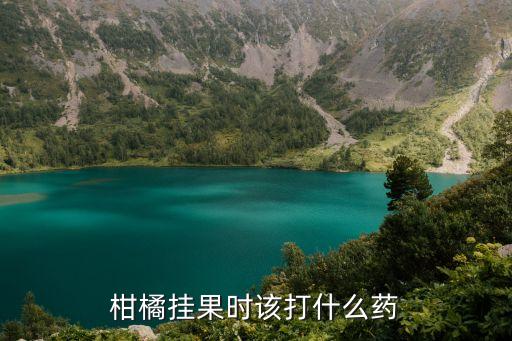 柑橘掛果時該打什么藥