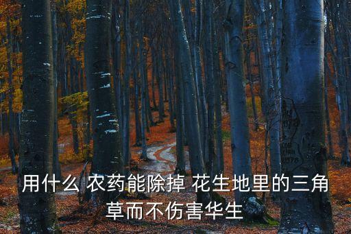 用什么 農藥能除掉 花生地里的三角草而不傷害華生