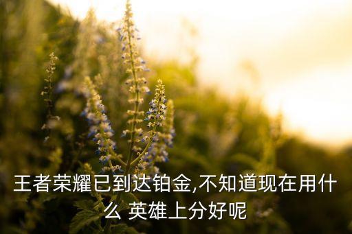 農(nóng)藥黃金段位帶什么英雄好