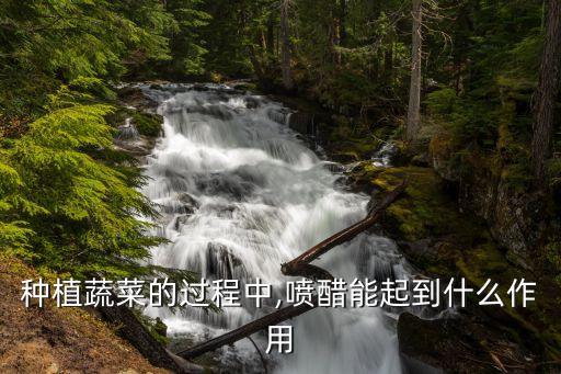 種植蔬菜的過程中,噴醋能起到什么作用