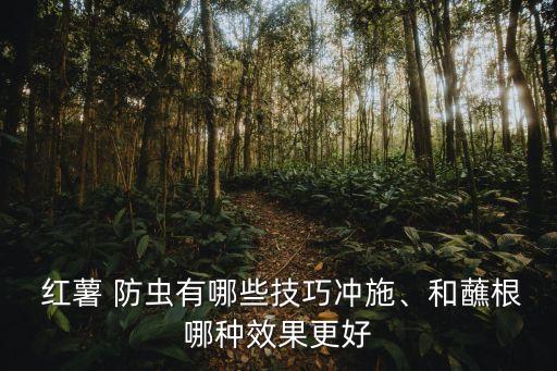  紅薯 防蟲有哪些技巧沖施、和蘸根哪種效果更好