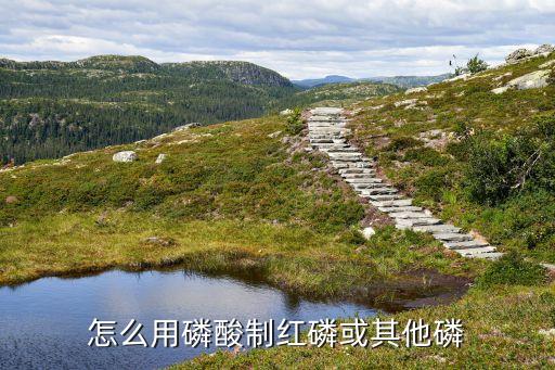 在什么中制取農藥元素,農藥元素位于什么位置