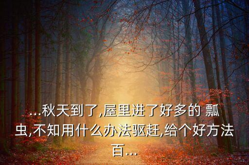 瓢蟲用什么農藥效果最差,治瓢蟲用什么農藥