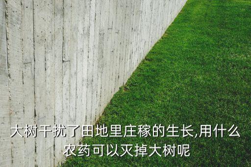 秧子快除掉了打什么農(nóng)藥