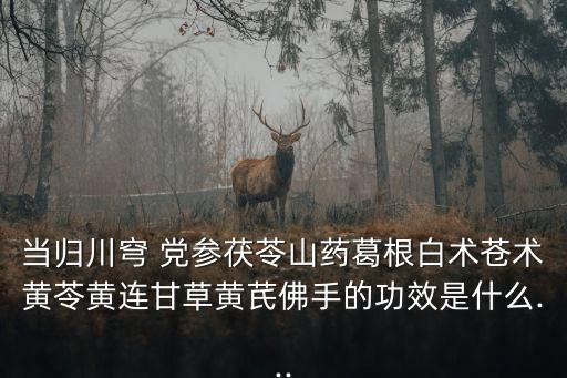 當(dāng)歸川穹 黨參茯苓山藥葛根白術(shù)蒼術(shù)黃苓黃連甘草黃芪佛手的功效是什么...