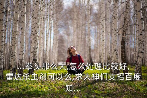 ...拳頭那么大,怎么處理比較好,雷達(dá)殺蟲劑可以么,求大神們支招百度知...