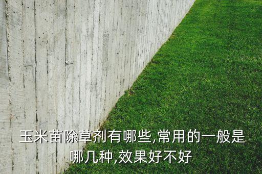 玉米用什么草藥農藥好,種玉米除草藥用什么