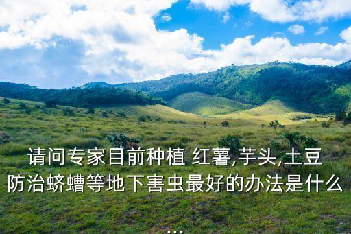 紅薯打什么農(nóng)藥防蟲好用,種紅薯噴什么農(nóng)藥防蟲