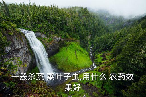 一般殺蔬 菜葉子蟲,用什么 農藥效果好