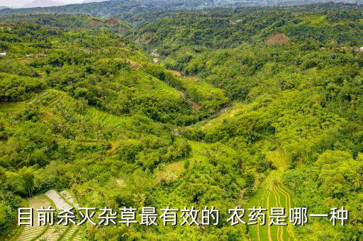 目前殺滅雜草最有效的 農藥是哪一種