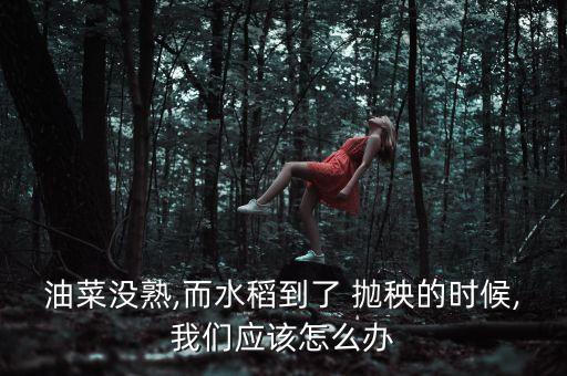 拋秧打什么農藥除草