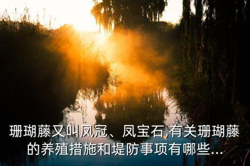 什么爬藤不用農藥,藤藤草圖片用什么農藥