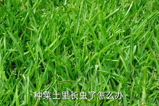 殺蟲雙可以配什么農藥,土壞殺蟲用什么農藥好